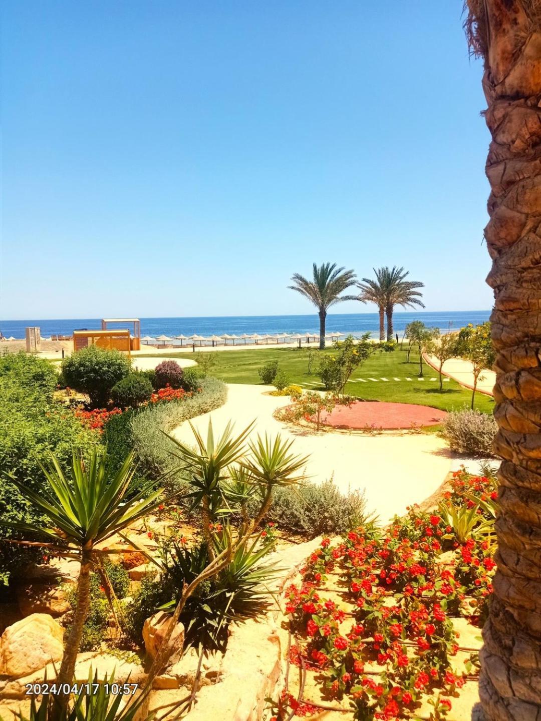Oyster Bay Beach Resort Abu Dabab Exteriér fotografie